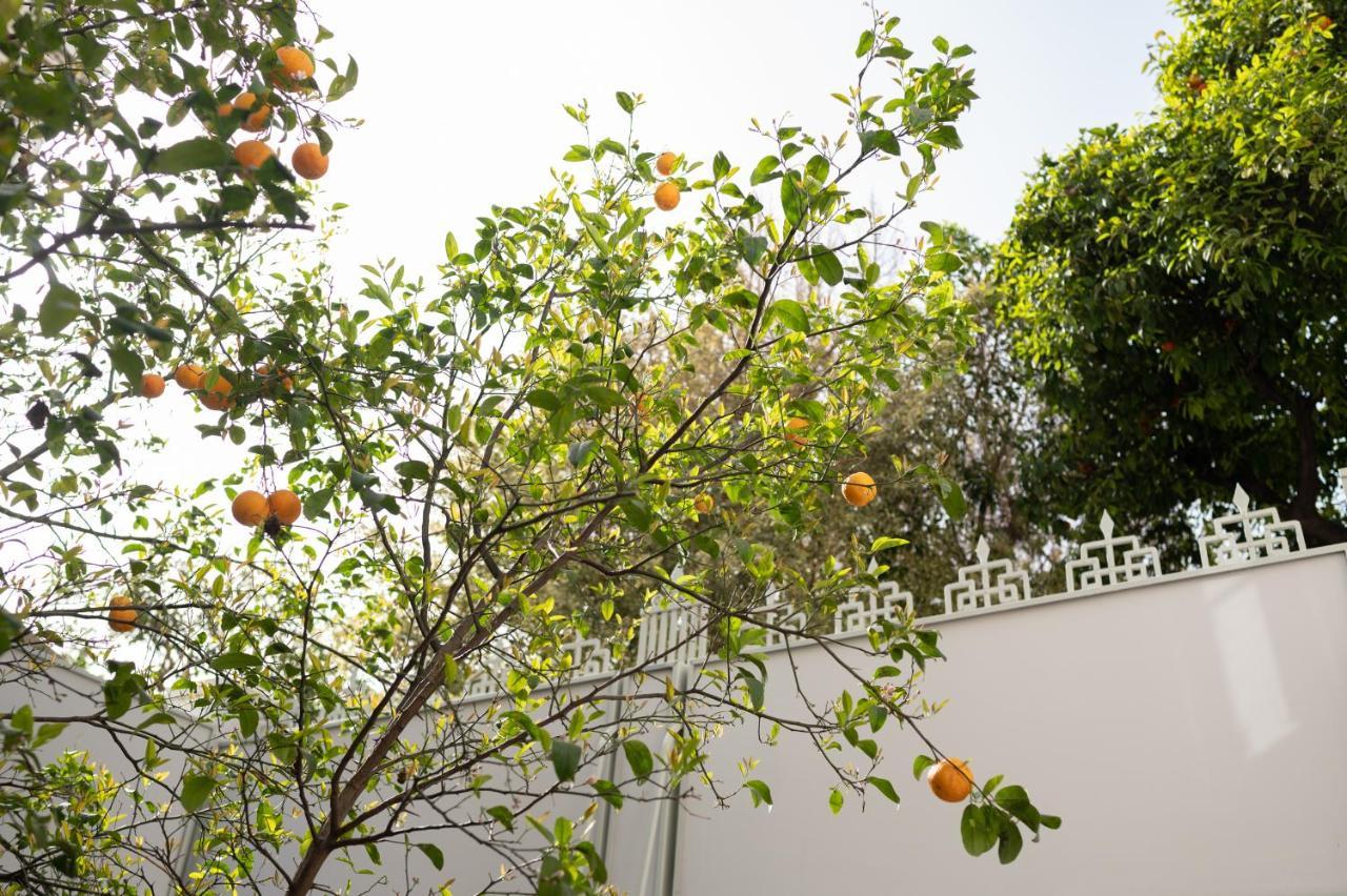 Appartamento Casa Blue Dove La Canea Esterno foto
